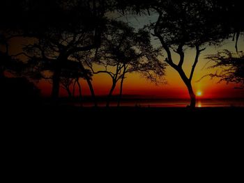 Silhouette trees by sea against orange sky