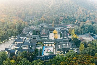 High angle view of trees and buildings in city