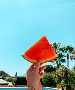 Midsection of person holding apple against clear sky