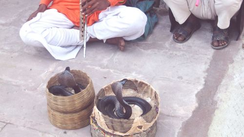 Low section of snake charmers in front of cobra in baskets