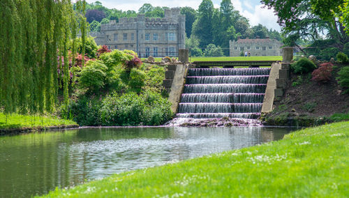 Scenic view of plants and trees by water