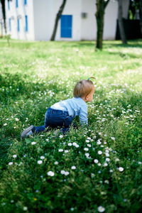 Rear view of child on grassy field