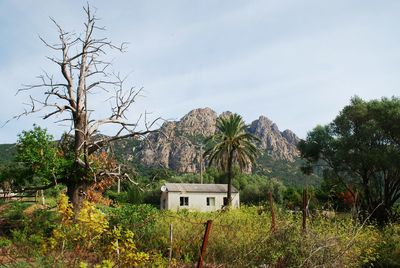 House on field by mountain against sky