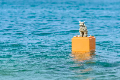 Animal sculpture in sea