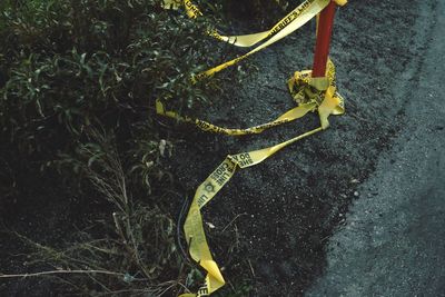 Close-up high angle view of leaf