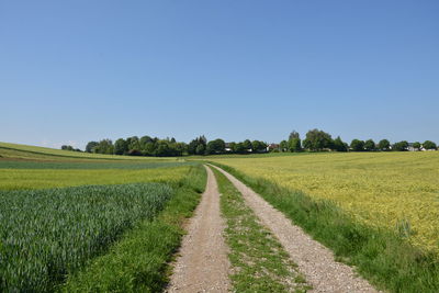 Scenic view of agricultural field against clear blue sky