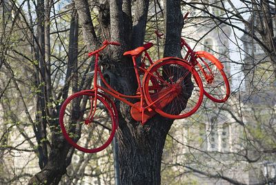 Close-up of basketball hoop against bare trees