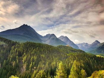 Low angle view of trees and rocky mountains against cloudy sky