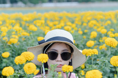 Portrait of yellow flowers on plant