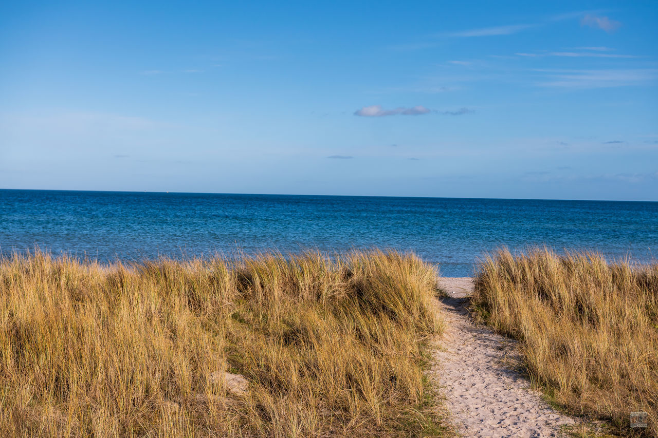 SCENIC VIEW OF BEACH AGAINST BLUE SKY