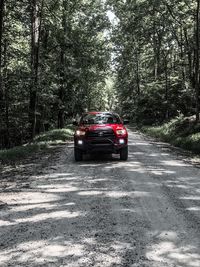 Car on road in forest