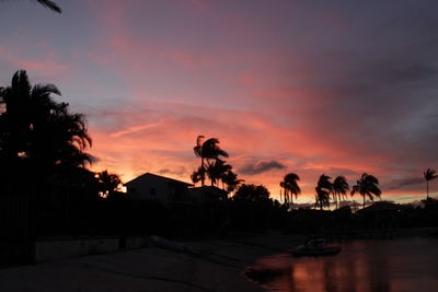 Palm trees at sunset