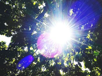 Low angle view of trees against blue sky