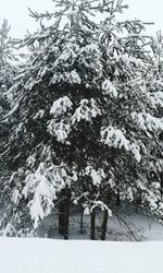 snow