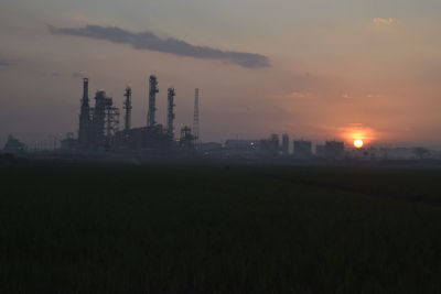 Silhouette of cranes at sunset