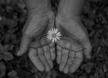 Close-up of hand gesturing against flower