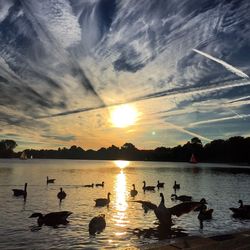 Scenic view of lake at sunset