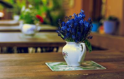 Close-up of flowers in vase
