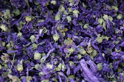 Full frame shot of purple flowers