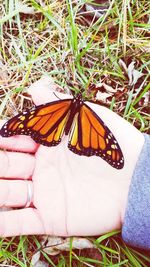 Close-up of cat on grass