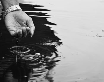 Close-up of hand holding crab