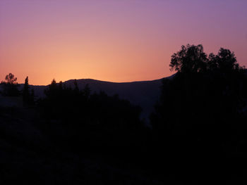 Silhouette trees against clear sky during sunset