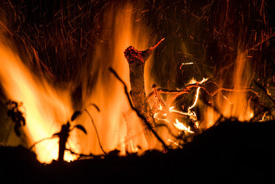 Close-up of burning wood at night