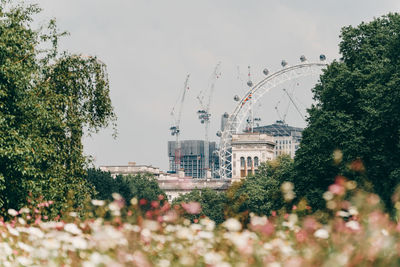 Trees and plants in city against sky