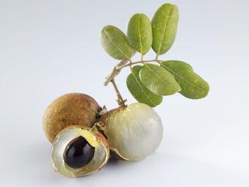 Close-up of fruit against white background