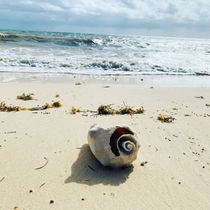 Scenic view of sea shore against sky