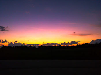 Silhouette of trees at sunset