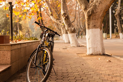 Outdoors parked on footpath