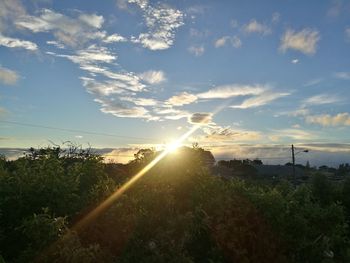 Scenic view of field against sky during sunset