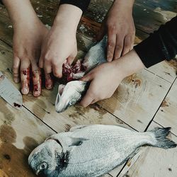 High angle view of man feeding fish