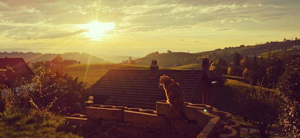 Panoramic view of landscape against sky during sunset