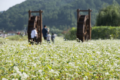 Rear view of people standing by waterwheels