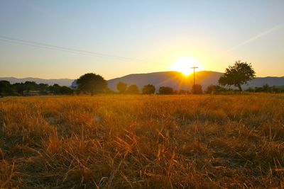 Scenic view of landscape at sunset