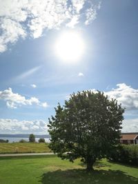 Scenic view of grassy field against sky