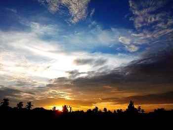 Silhouette trees against sky during sunset