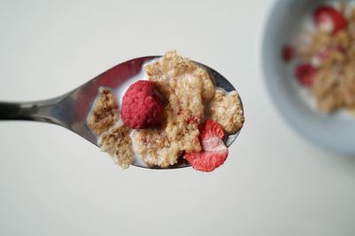 Close-up of food on white background