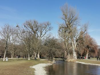 Bare trees in park against clear sky