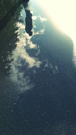 Reflection of trees in water