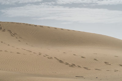 Sand dunes in desert against sky