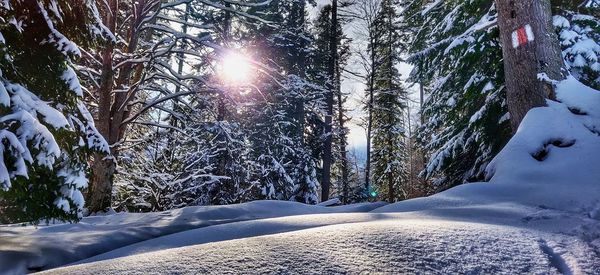 Scenic view of snow covered land against bright sun