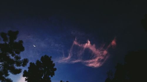 Low angle view of silhouette trees against sky