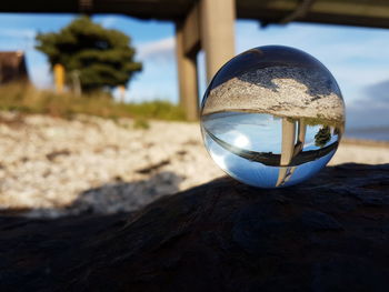 Close-up of crystal ball against trees