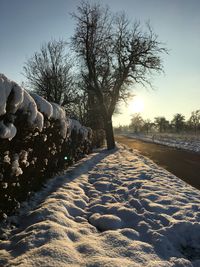 Bare trees on snow covered field against sky