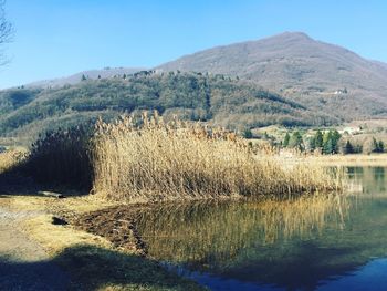 Scenic view of lake against clear sky