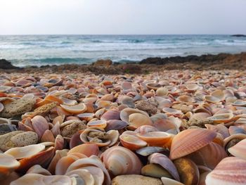 Pebbles on beach against sky