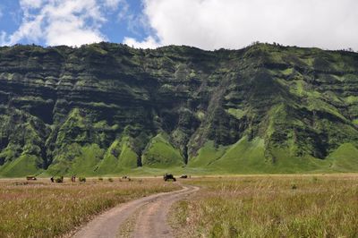 Road passing through landscape